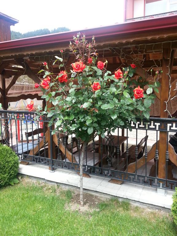 Family Hotel Yola Csepelare Kültér fotó